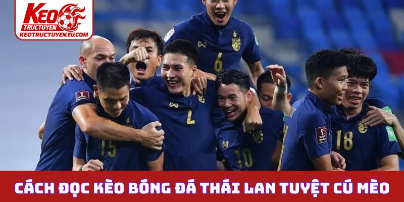 Cách đọc kèo bóng đá Thái Lan tuyệt cú mèo