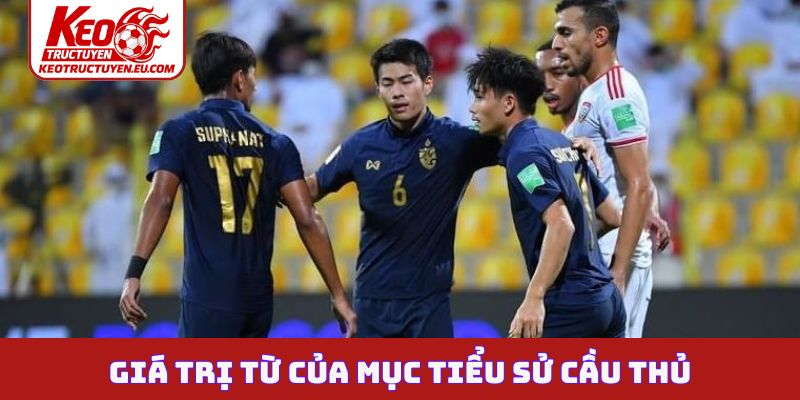 Giá trị từ của mục tiểu sử cầu thủ