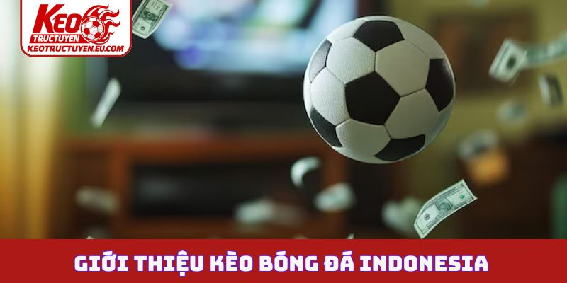Giới thiệu kèo bóng đá Indonesia