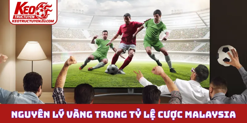 Nguyên lý vàng trong tỷ lệ cược Malaysia