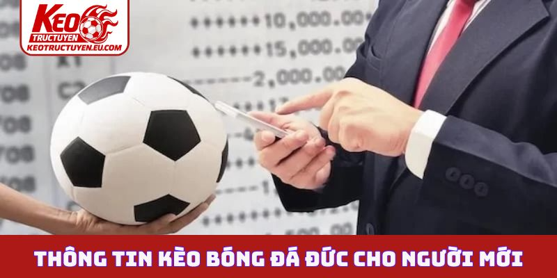 Thông tin kèo bóng đá Đức cho người mới