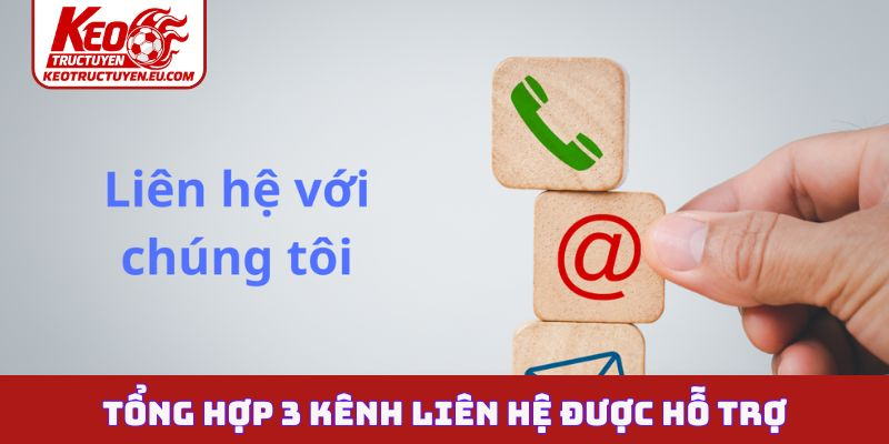 Tổng hợp 3 kênh liên hệ được hỗ trợ